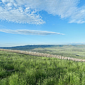 Wyoming Snow Fence