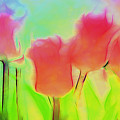 Tulips in Abstract 2