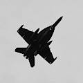 Carrier Jet 